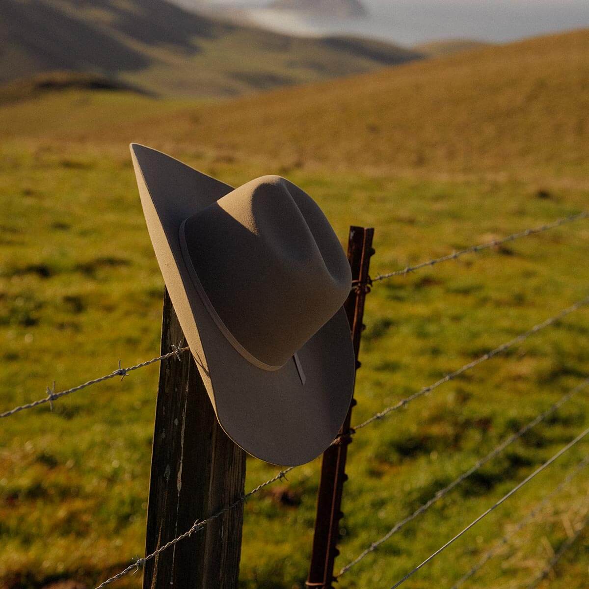 Chase 4X Hat Stone